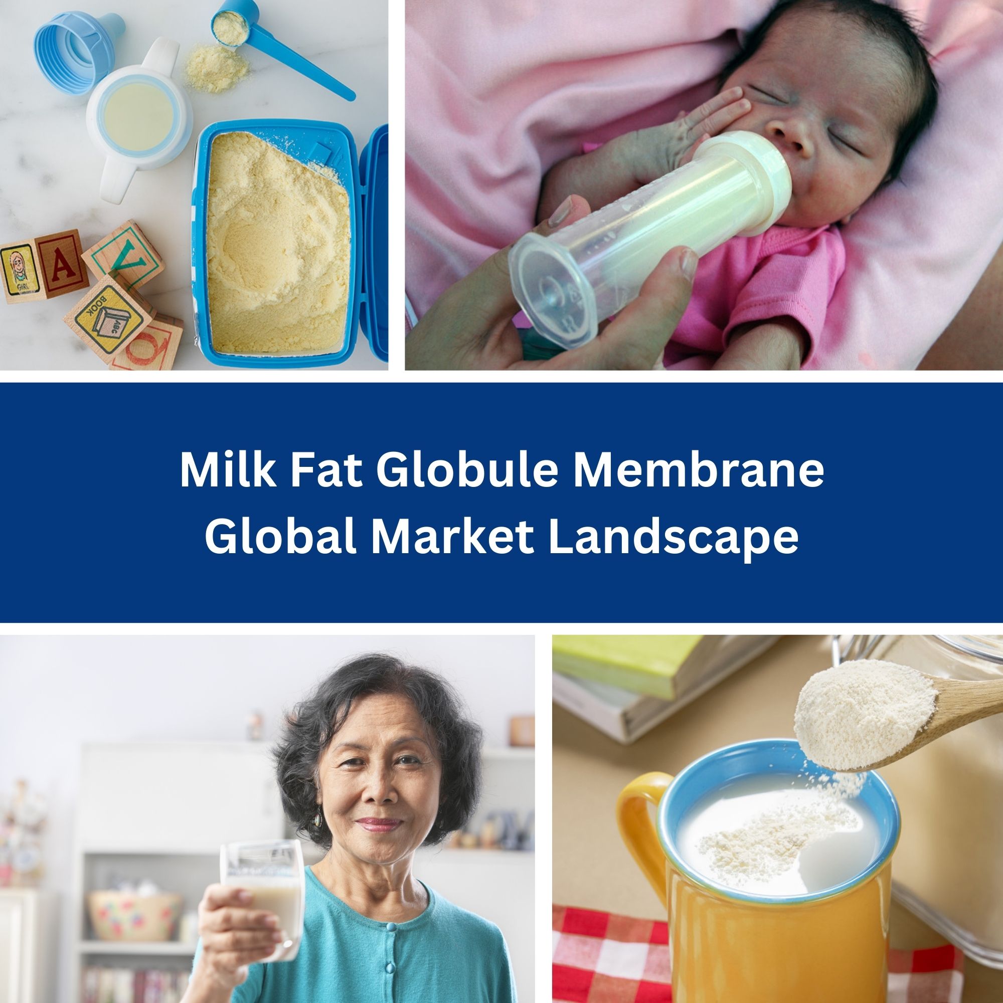 Milk Fat Globule Membrane Global Market Landscape